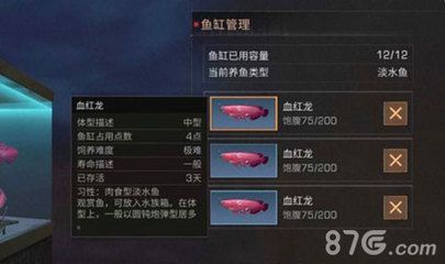 血紅龍是淡水魚嗎：《明日之后》血紅龍?jiān)趺传@得淡水魚血紅龍獲得流程詳解