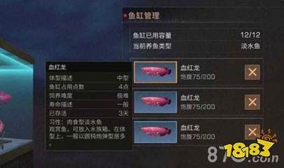 血紅龍是淡水魚嗎：《明日之后》血紅龍?jiān)趺传@得淡水魚血紅龍獲得流程詳解