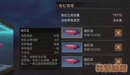 血紅龍是淡水魚嗎：《明日之后》血紅龍?jiān)趺传@得淡水魚血紅龍獲得流程詳解