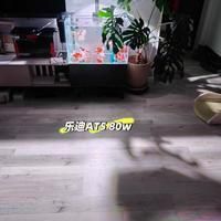 馬印水族原子光盒 龍魚百科 第5張 馬印水族原子光盒 馬印水族原子光盒 龍魚百科 第5張