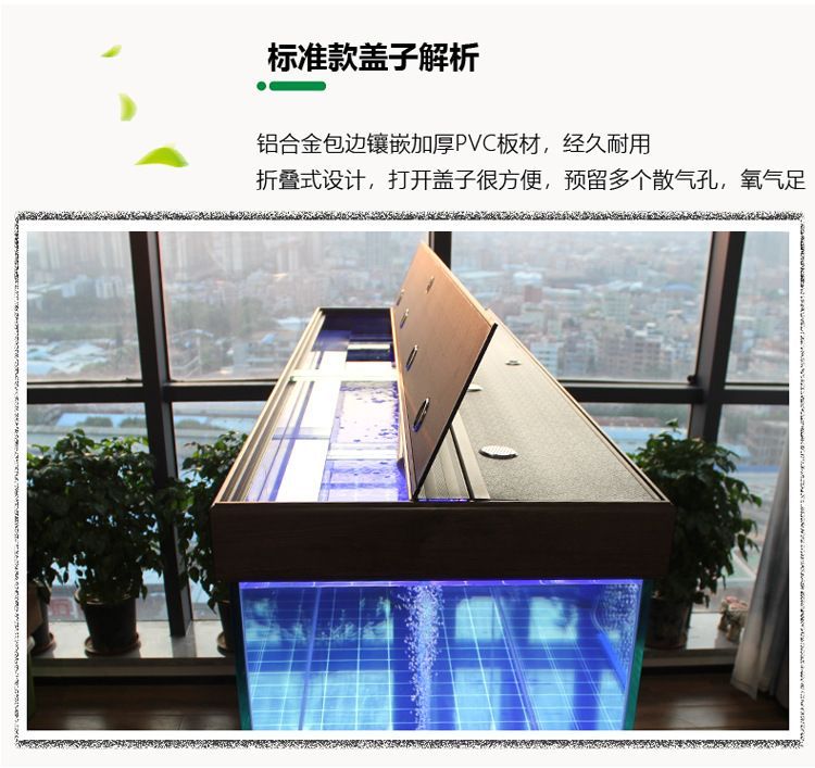 龍魚缸有必要放氧氣嗎（龍魚缸打氧的最佳時間段，防止龍魚氣泡病的方法）