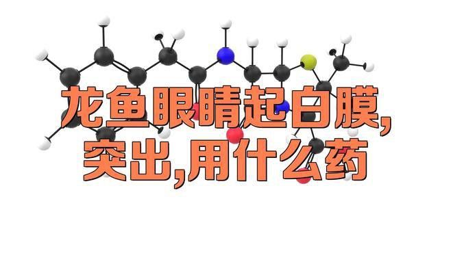 龍魚眼睛凸出如何預防？ 龍魚眼睛凸出如何預防？ 龍魚百科 第12張