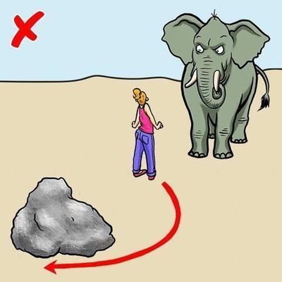 球鯊魚攻擊行為的預(yù)防措施（球鯊魚攻擊事件統(tǒng)計分析）