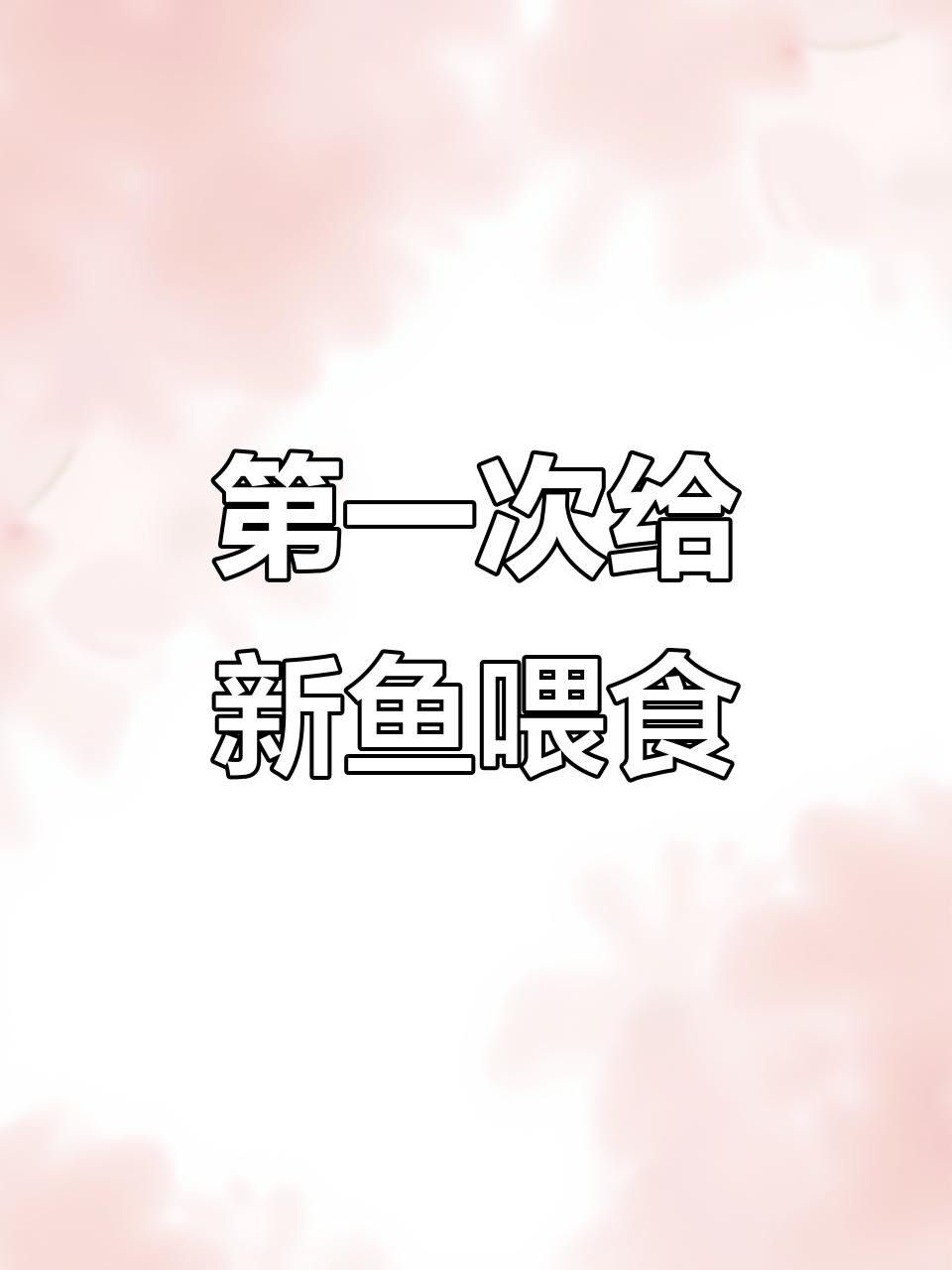 金龍魚換缸后多久喂食？ 金龍魚換缸后多久喂食？ 龍魚百科 第4張