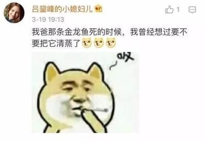 金龍魚吃多少會飽死