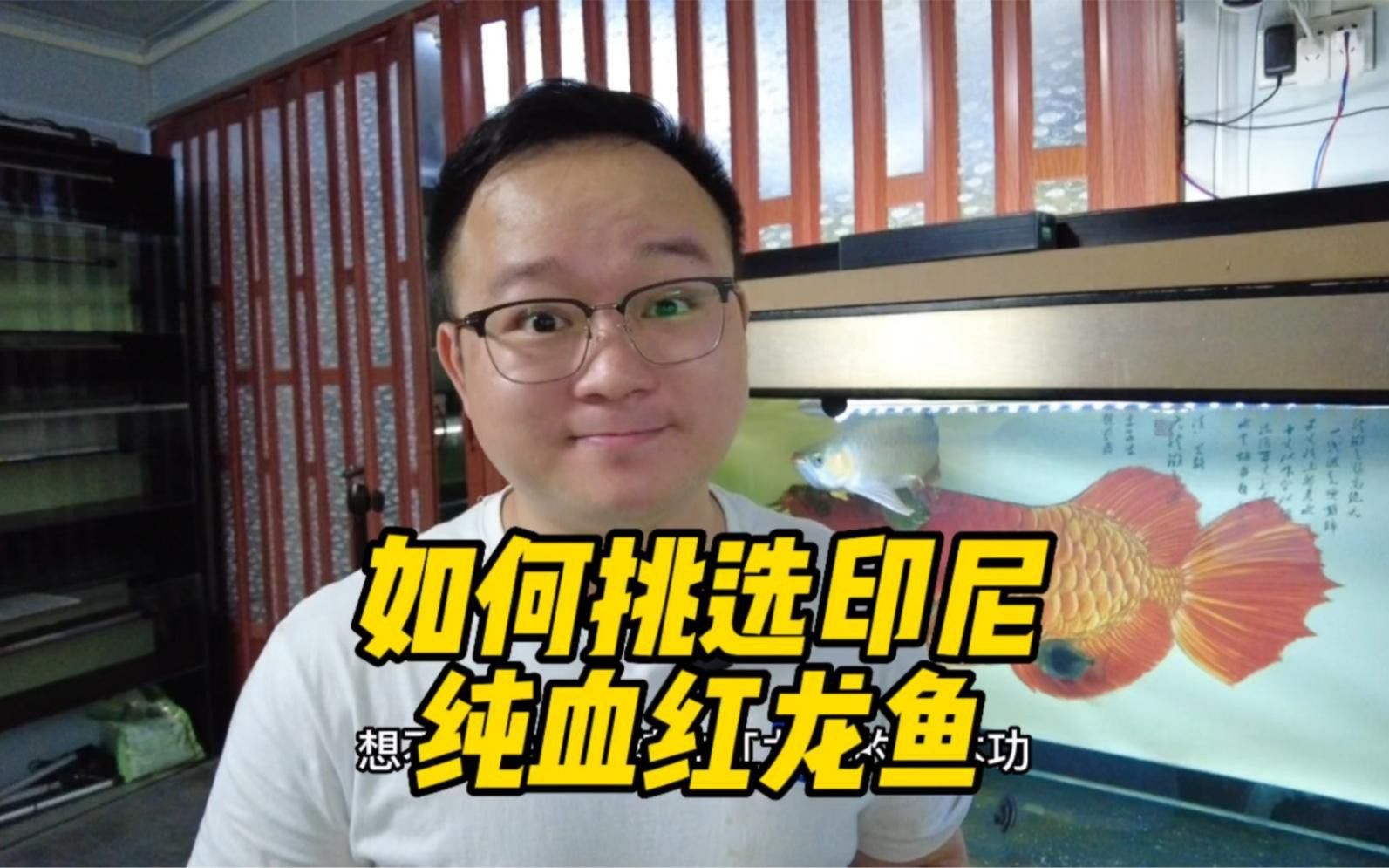 如何判斷龍魚(yú)是否為純種？