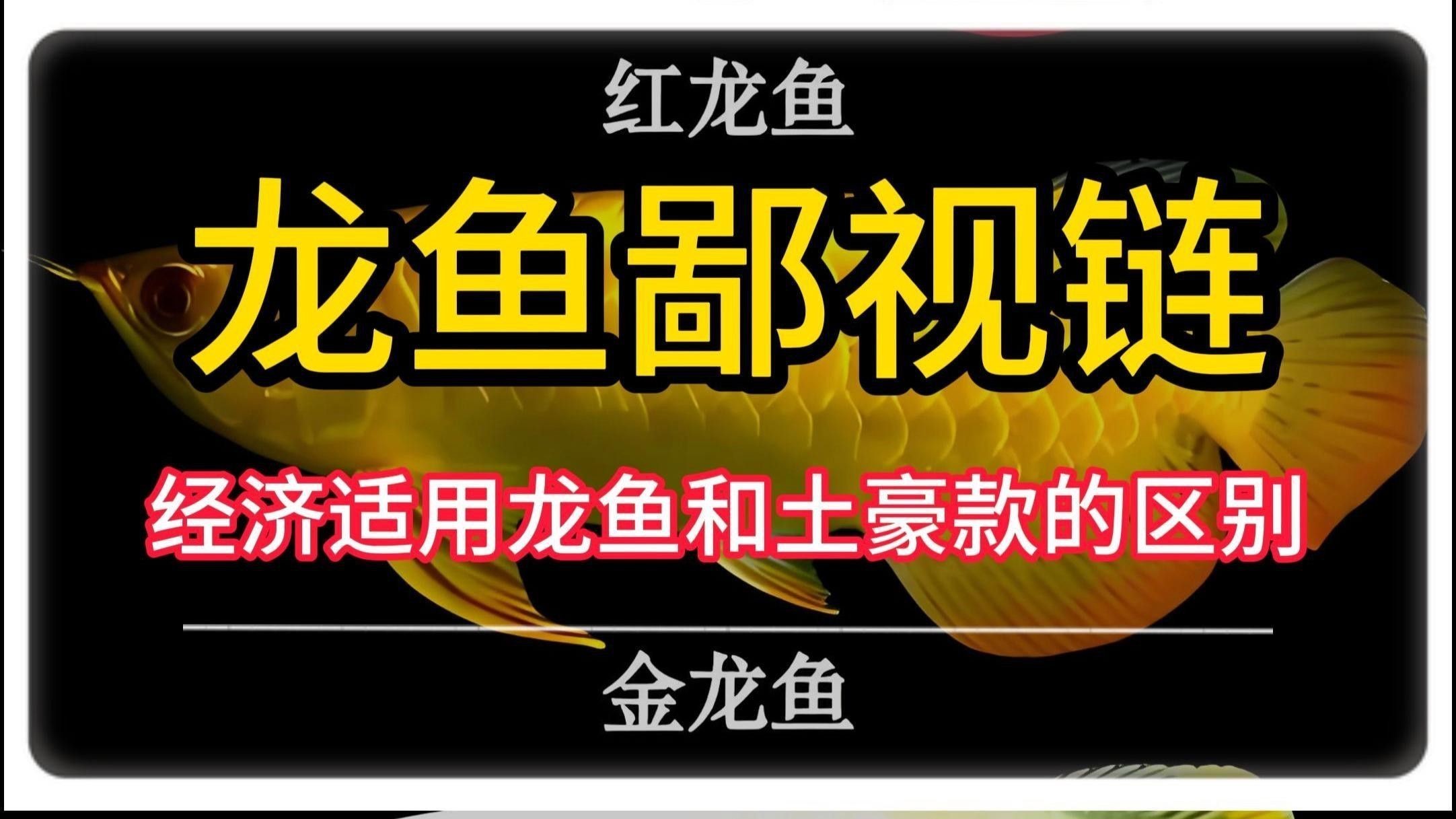 如何判斷龍魚(yú)是否為純種？