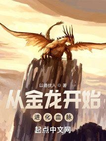 有沒有以金龍為背景的小說？