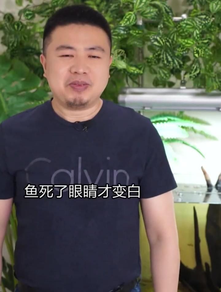 如何判斷魚蒙眼的類型？
