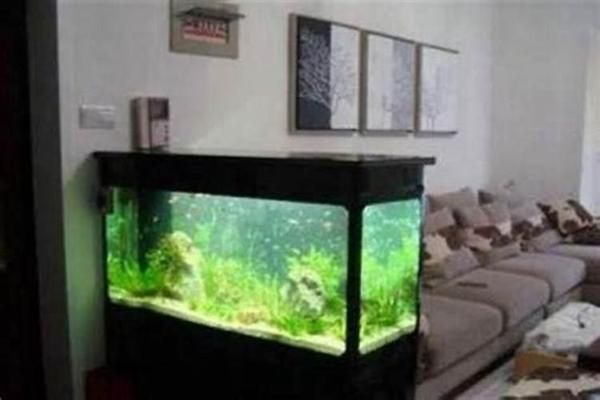水鴉魚缸最建議買哪一種顏色
