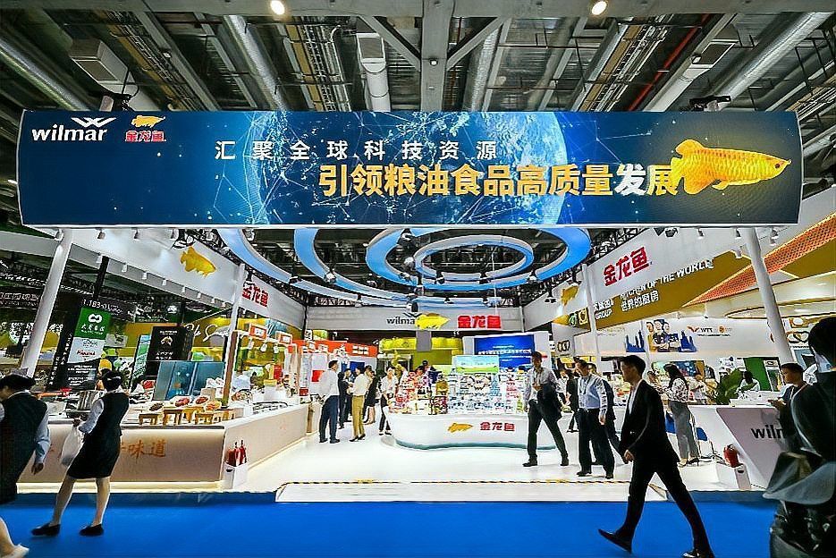 金龍魚技術升級具體指什么？
