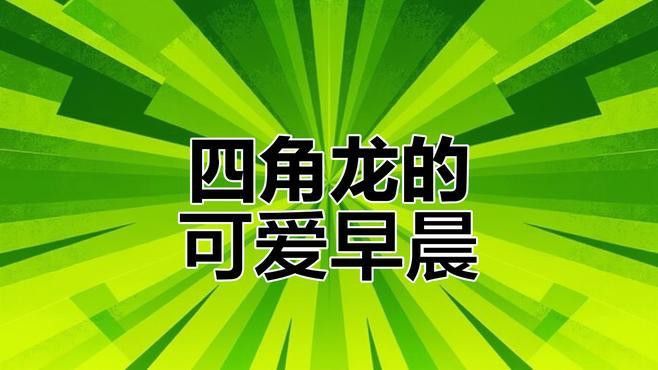 六角海龍和四角龍魚哪個更稀有？ 六角海龍和四角龍魚哪個更稀有？ 龍魚百科 第1張