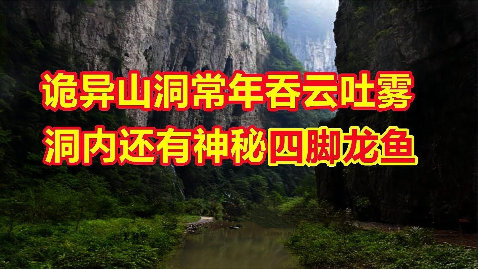 六角海龍和四角龍魚哪個更稀有？ 六角海龍和四角龍魚哪個更稀有？ 龍魚百科 第5張