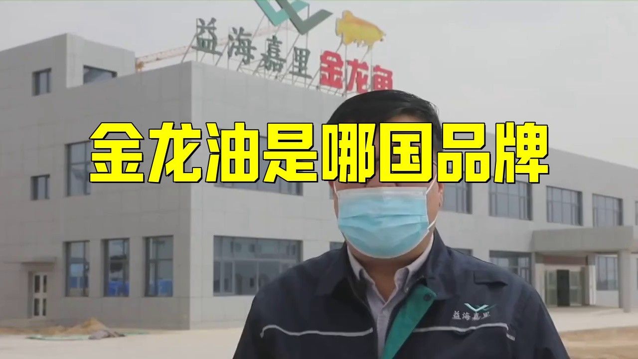 金龍魚的主要出口國家有哪些？ 金龍魚的主要出口國家有哪些？ 龍魚百科 第1張