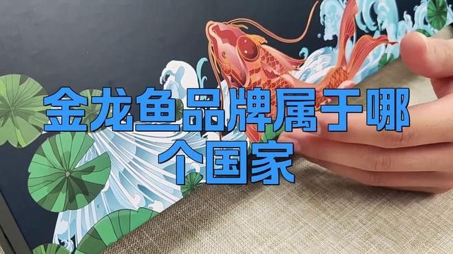 金龍魚的主要出口國家有哪些？ 金龍魚的主要出口國家有哪些？ 龍魚百科 第4張