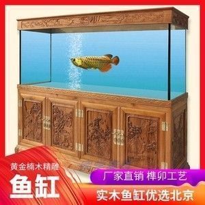 龍魚閣魚缸官網（如何鑒別龍魚閣魚缸真偽）