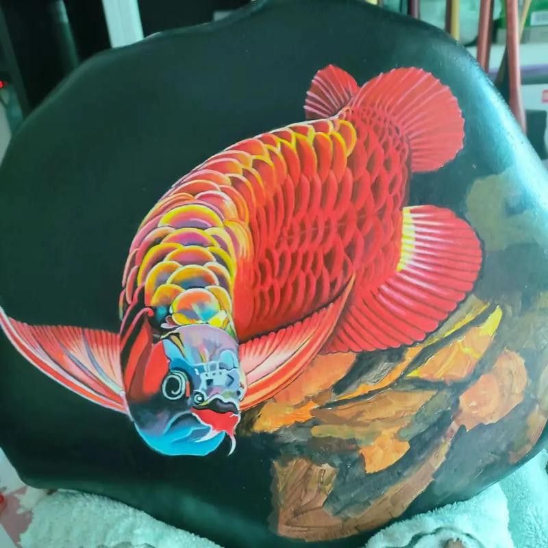 大紅龍魚圖片高清壁紙可愛動漫 大紅龍魚圖片高清壁紙可愛動漫 龍魚百科 第7張