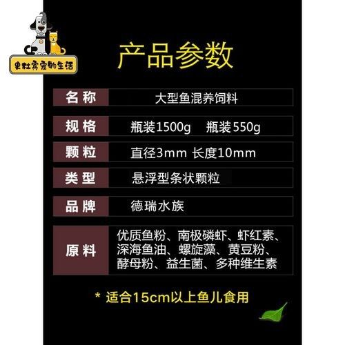 銀龍魚喂什么最好看