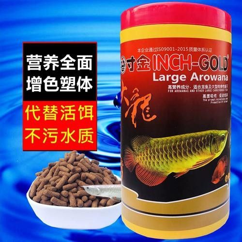 銀龍魚喂什么最好看