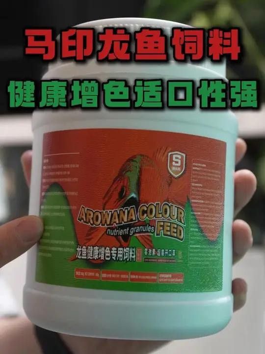 給我推薦一些適合龜增色龍魚的食物