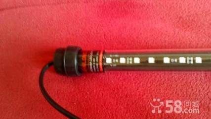 龍魚專用燈哪個牌子好一點兒：馬印神燈龍魚專用燈市場評價yee水族照明設備性價比