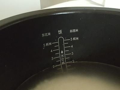 3元一條小金龍魚是真的嗎（3元一條小金龍魚多少錢一條金龍魚多少錢一條） 3元一條小金龍魚是真的嗎（3元一條小金龍魚多少錢一條金龍魚多少錢一條） 龍魚百科 第2張