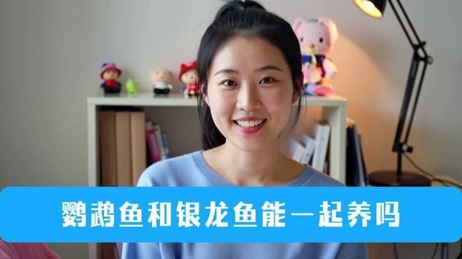 銀龍魚鸚鵡魚和什么魚混養比較好