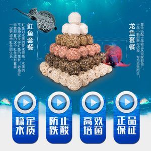 龍魚只要配什么過濾材料：養龍魚時選擇合適的過濾材料