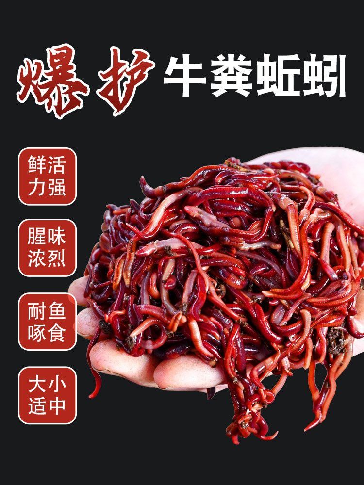 如何判斷龍魚餌料的安全性？
