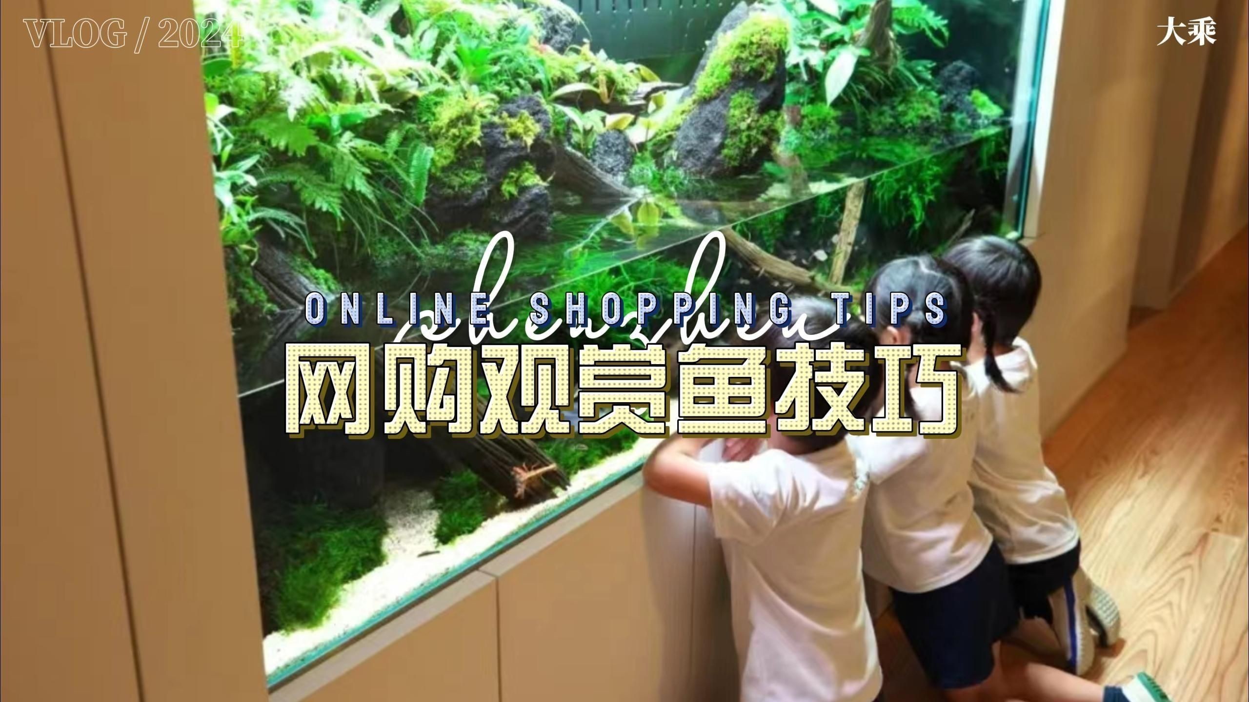 線(xiàn)上購(gòu)買(mǎi)觀賞魚(yú)注意事項(xiàng)