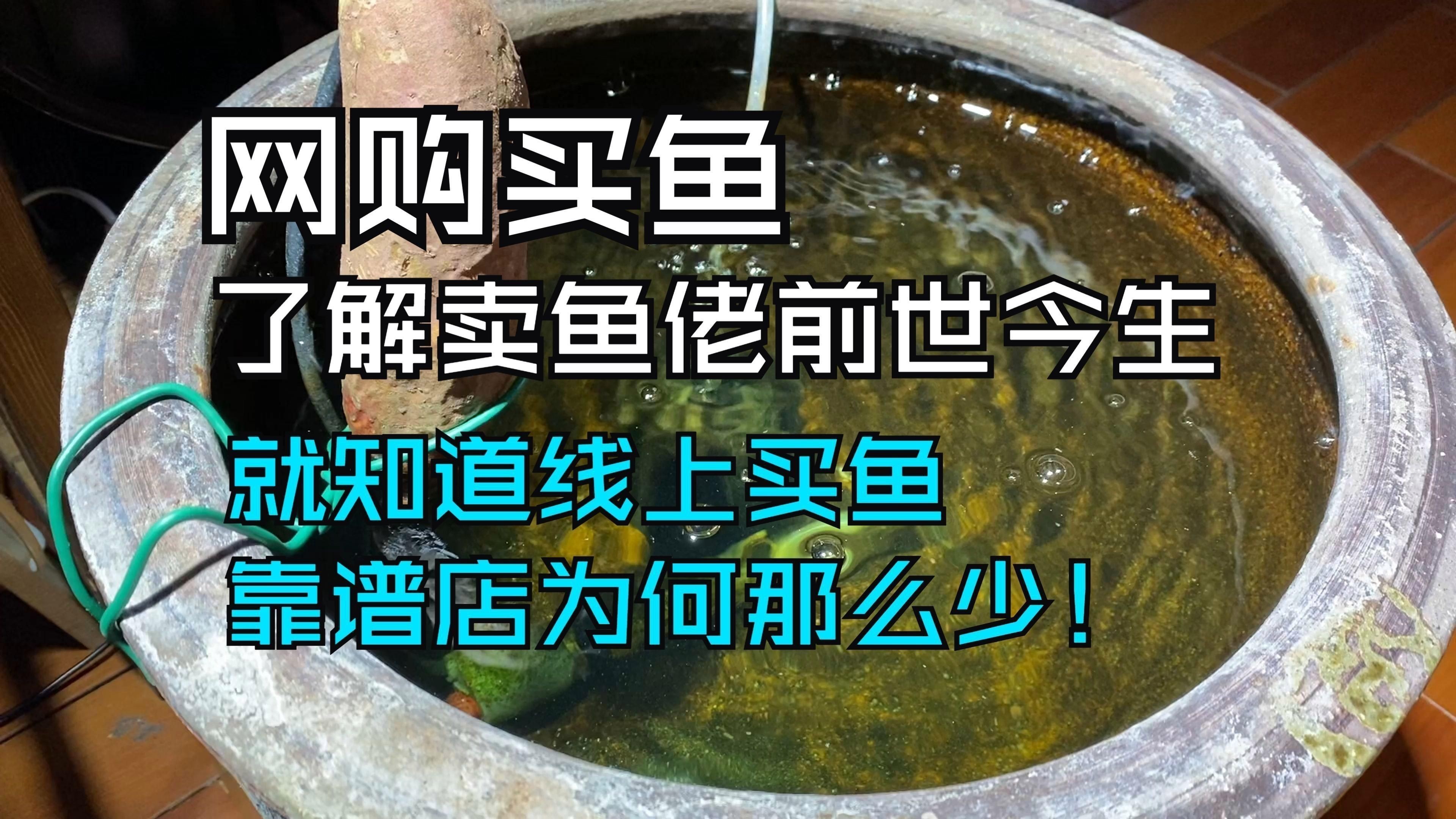 線(xiàn)上購(gòu)買(mǎi)觀賞魚(yú)注意事項(xiàng)