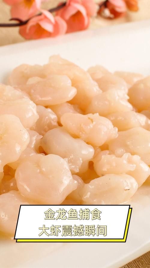 金龍魚吃什么的