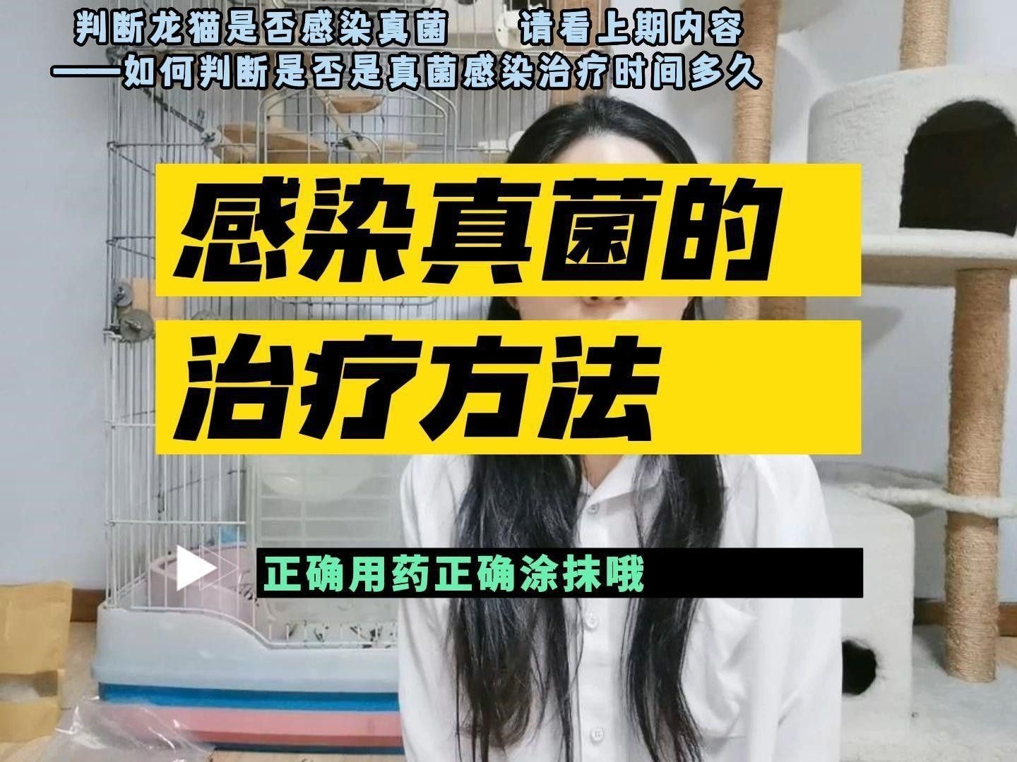 龍貓真菌感染如何治療 龍貓真菌感染如何治療 龍魚百科 第1張