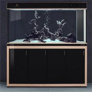 可麗愛售后電話24小時人工服務