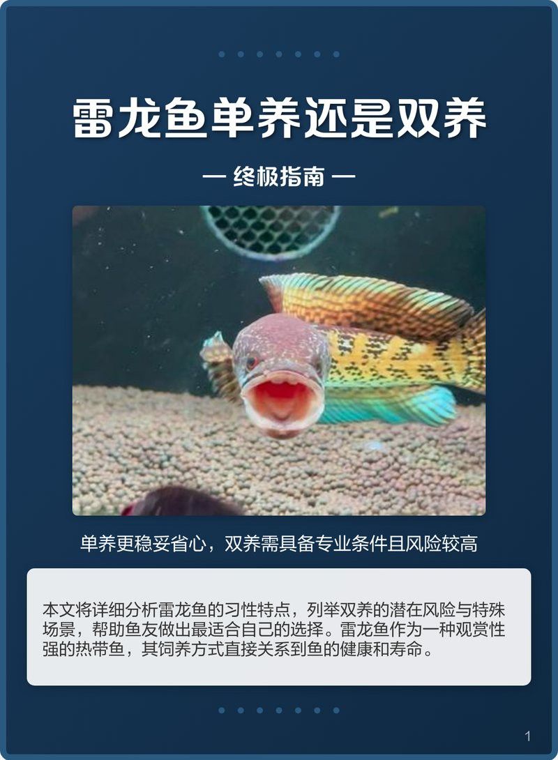 雷龍魚(yú)繁殖成功率有多高？