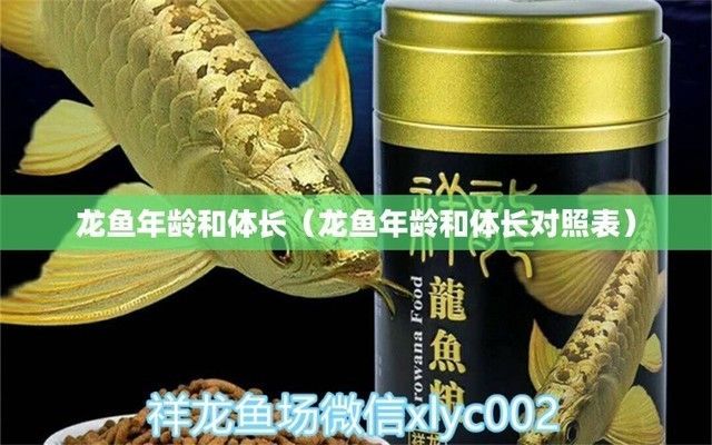 如何看龍魚的年齡大?。号袛帻堲~的年齡和大小可以通過觀察其體色變化來判斷