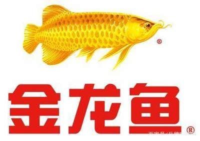 金龍魚營(yíng)銷案例，金龍魚品牌<strong><mark>合作</mark></strong>案例