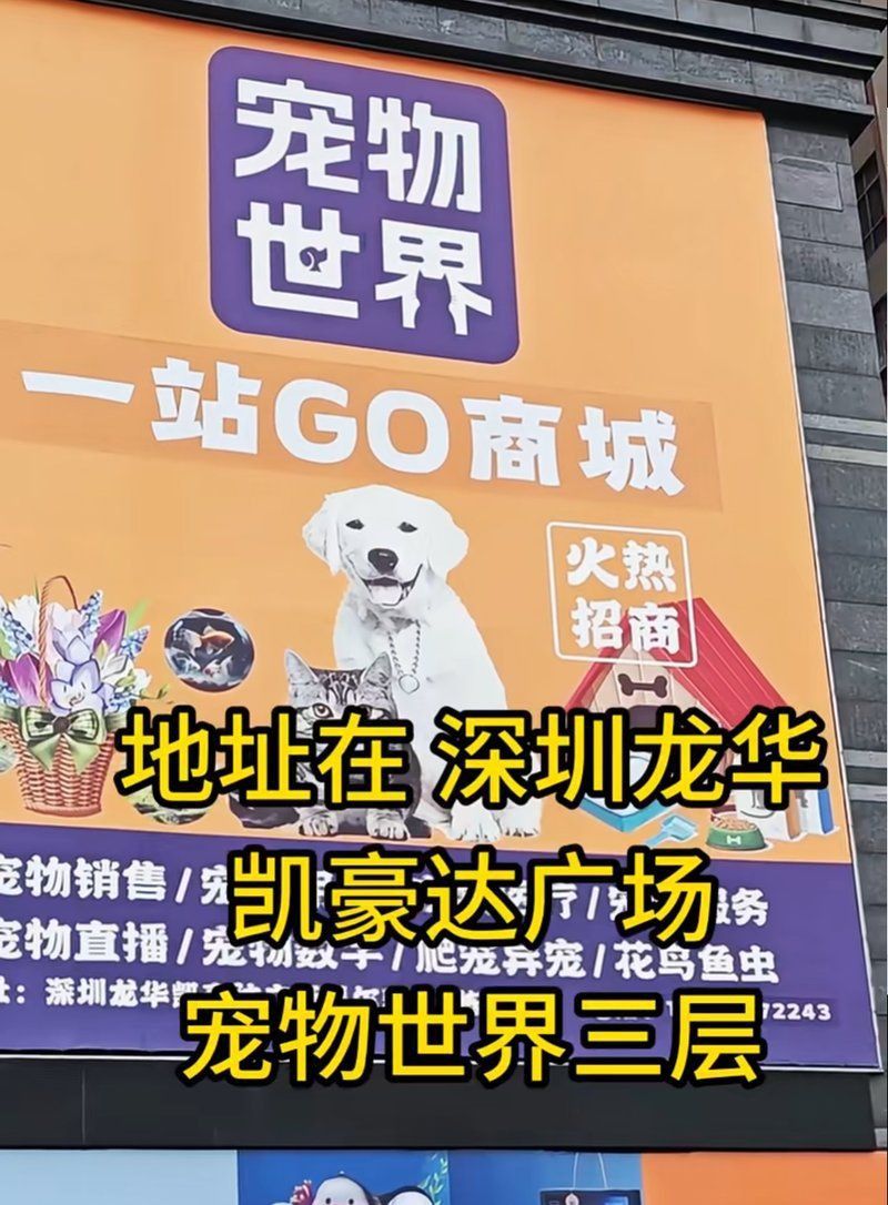 龍華寵物市場一條街 龍魚百科 第6張 龍華寵物市場一條街 龍華寵物市場一條街 龍魚百科 第6張