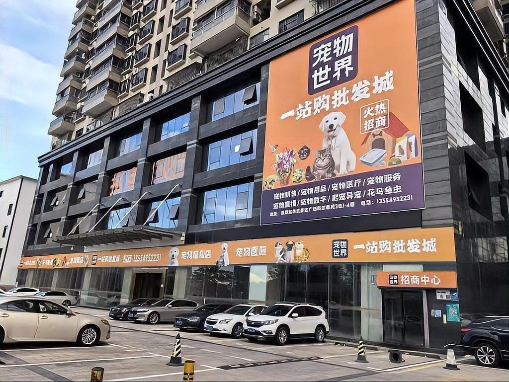 龍華寵物市場一條街 龍魚百科 第8張 龍華寵物市場一條街 龍華寵物市場一條街 龍魚百科 第8張