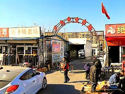 天津哪里賣龍魚比較好賣的