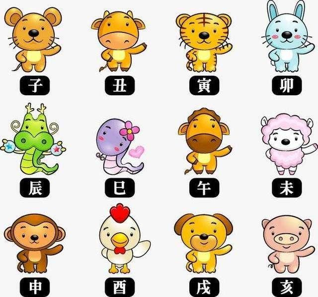 什么屬相不能擺放金龍魚擺件：什么屬相不能擺放金龍魚擺件風水屬相不能擺放金龍魚擺件