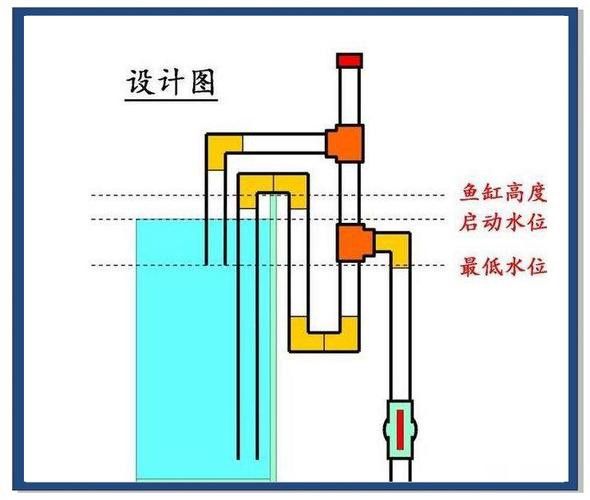 紅龍魚缸的最佳尺寸圖片大全