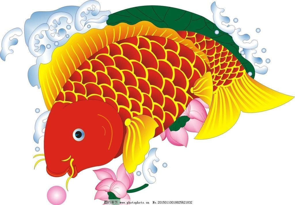 金龍魚圖畫大全大圖高清無水印（關于金龍魚圖畫大全大圖高清無水印的具體信息）