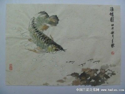 金龍魚圖畫大全大圖高清無水印（關于金龍魚圖畫大全大圖高清無水印的具體信息）
