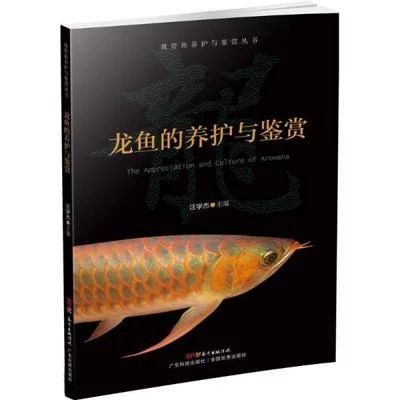龍魚的鑒賞標準有哪些內容和特點：龍魚的鑒賞標準