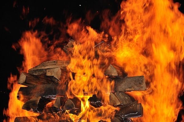 銀龍魚苗抗病毒藥物副作用：銀龍魚苗使用抗病毒藥物的具體副作用