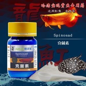 銀龍魚苗抗病毒藥物副作用：銀龍魚苗使用抗病毒藥物的具體副作用