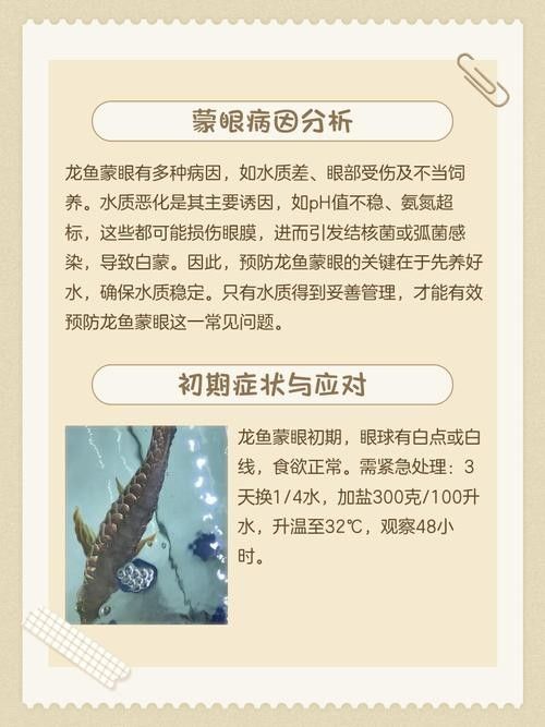 銀龍魚眼睛外面有白膜圖片
