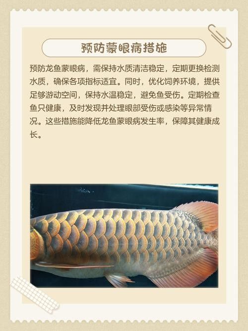 銀龍魚眼睛外面有白膜圖片