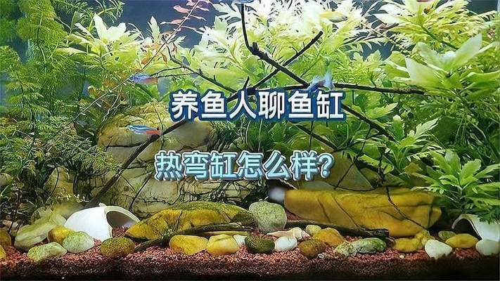 熱彎魚缸，如何維護熱彎魚缸衛(wèi)生熱彎魚缸的爆缸原因分析